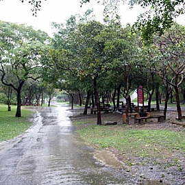 通宵濱海遊憩烤肉地點重新開放!